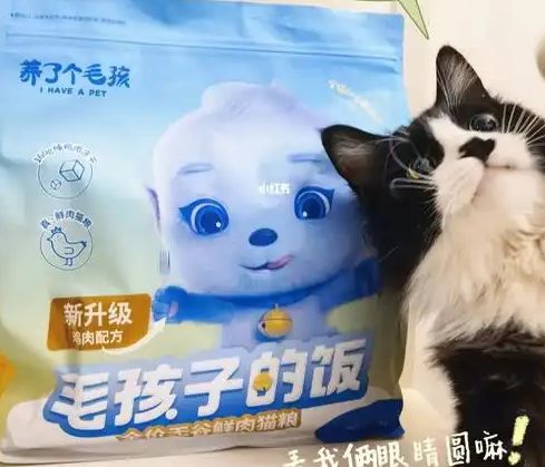 粮！三只松鼠靠什么重返宠物食品赛道CQ9电子游戏零食巨头盯上毛孩子口(图4)