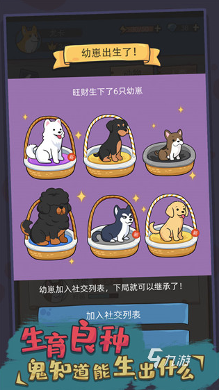 个 2025经典的小狗手游怎么CQ9电子热门的小狗游戏有哪几(图4)